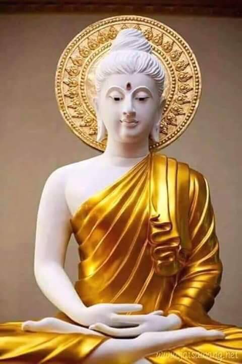 Hình, tượng Đức Phật sưu tầm
